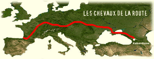les chevaux de la route