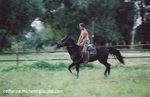 2003-ferme Guaran-debourage
