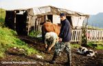 cabane et preparation des chevaux