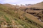 hauts-paturages-2600m