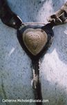 detail de la selle Tcherkesse