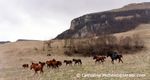 mai 2002 transhumance 2