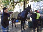 30 octobre 2004 - Les 2 jours de Montcuq - Khalib et Parit.